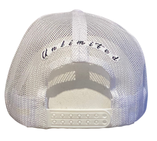 CAP ICE